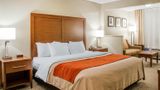 Comfort Inn Idaho Falls Suite