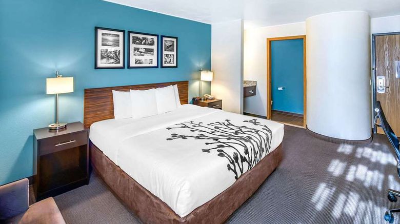 <b>Sleep Inn Room</b>. Images powered by <a href="https://iceportal.shijigroup.com/" title="IcePortal" target="_blank">IcePortal</a>.