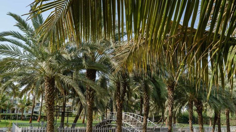 <b>Quality Inn Palms Pool</b>. Images powered by <a href="https://iceportal.shijigroup.com/" title="IcePortal" target="_blank">IcePortal</a>.