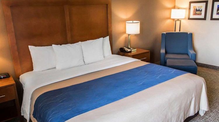 Comfort Inn Room