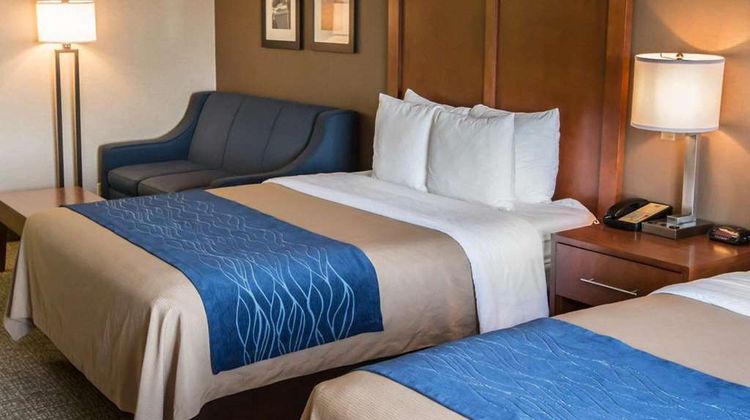 Comfort Inn Suite