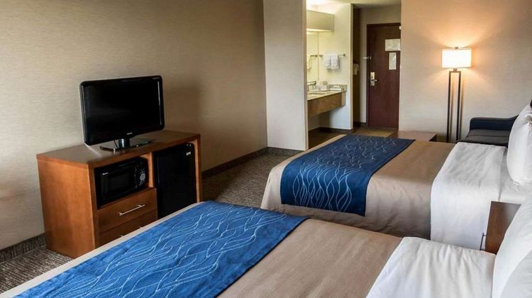 Comfort Inn Suite