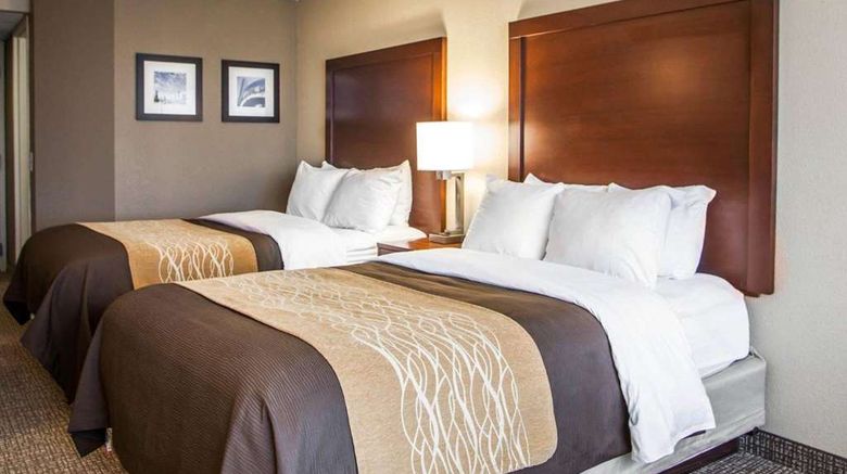 <b>Quality Inn & Suites Room</b>. Images powered by <a href="https://iceportal.shijigroup.com/" title="IcePortal" target="_blank">IcePortal</a>.