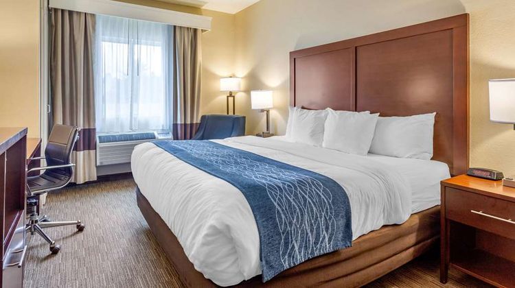 Comfort Inn Room