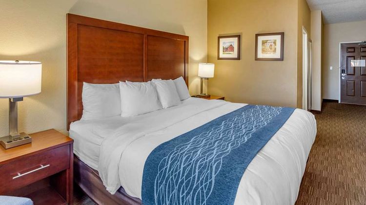 Comfort Inn Room