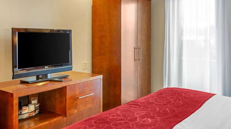 Comfort Suites Suite