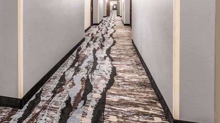 Quality Inn and Suites Danville East Lobby