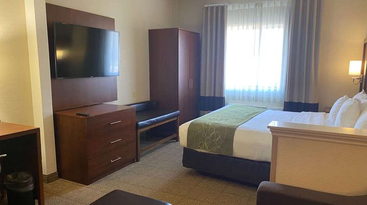 Comfort Suites Peoria Room
