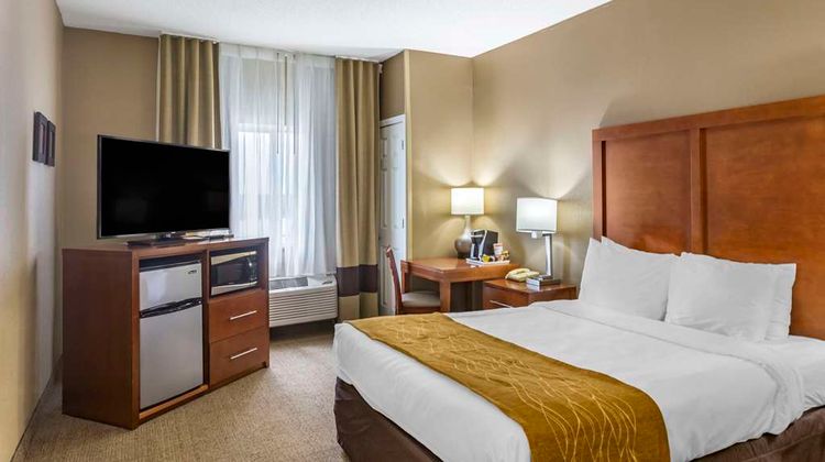 Comfort Inn Room