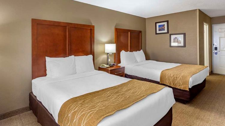 Comfort Inn Room