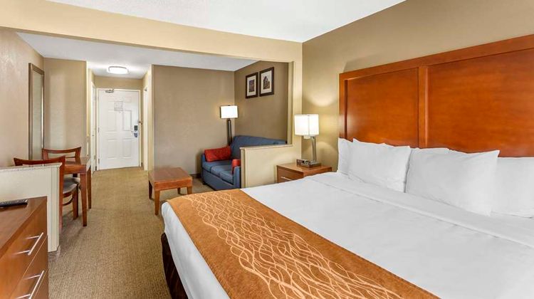 Comfort Inn Suite