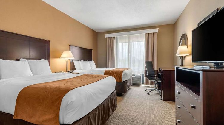Comfort Suites Suite