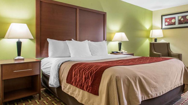 <b>Quality Inn South Jacksonville Room</b>. Images powered by <a href="https://iceportal.shijigroup.com/" title="IcePortal" target="_blank">IcePortal</a>.