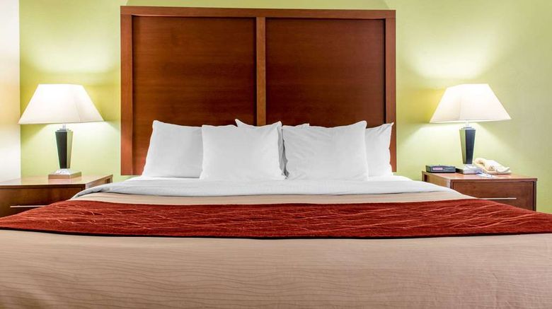 <b>Quality Inn South Jacksonville Room</b>. Images powered by <a href="https://iceportal.shijigroup.com/" title="IcePortal" target="_blank">IcePortal</a>.