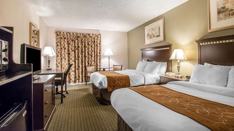 Comfort Inn & Suites Room