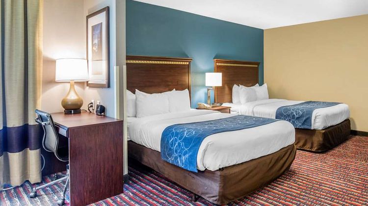 Comfort Suites, Fairview Heights Room