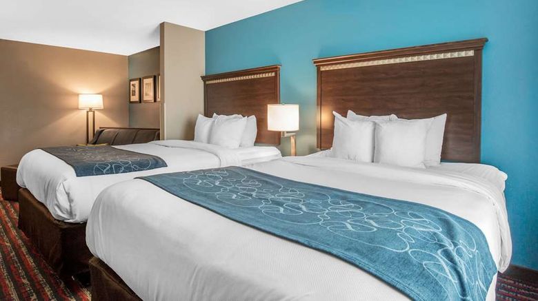 <b>Comfort Suites, Fairview Heights Suite</b>. Images powered by <a href="https://iceportal.shijigroup.com/" title="IcePortal" target="_blank">IcePortal</a>.