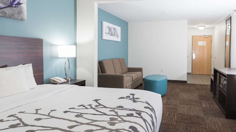<b>Sleep Inn and Suites Suite</b>. Images powered by <a href="https://iceportal.shijigroup.com/" title="IcePortal" target="_blank">IcePortal</a>.