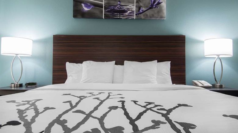 <b>Sleep Inn and Suites Room</b>. Images powered by <a href="https://iceportal.shijigroup.com/" title="IcePortal" target="_blank">IcePortal</a>.
