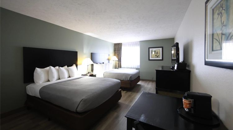 Quality Inn and Suites Mattoon South Room
