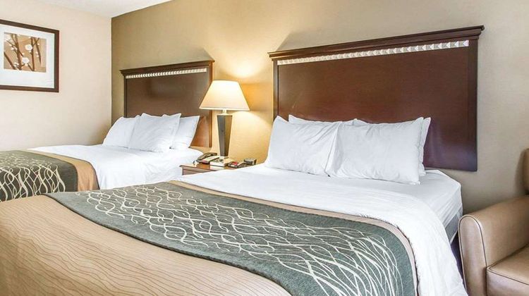 Quality Inn Room