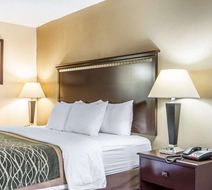 Quality Inn Room