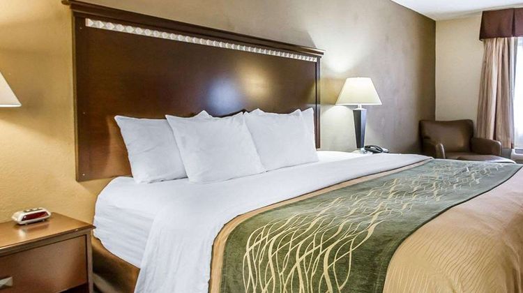 Quality Inn Room