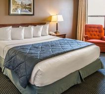 Quality Inn Schaumburg Room