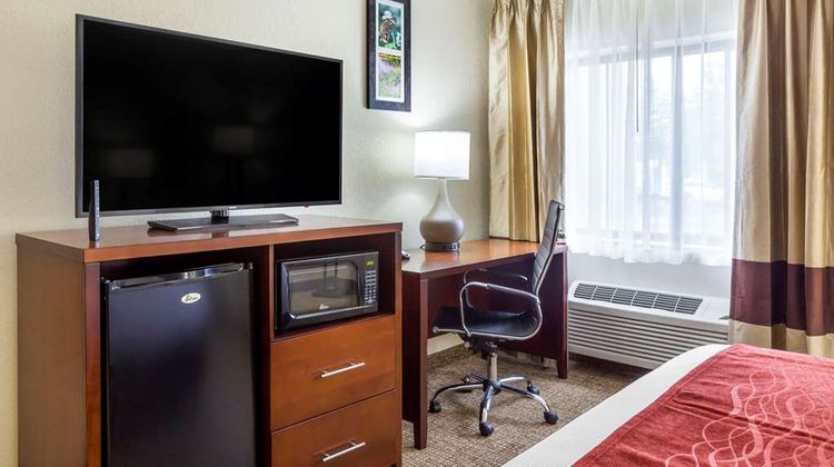 Comfort Inn Hoffman Estates/Schaumburg Room