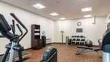 <b>Comfort Inn Edwardsville Health</b>. Images powered by <a href="https://iceportal.shijigroup.com/" title="IcePortal" target="_blank">IcePortal</a>.