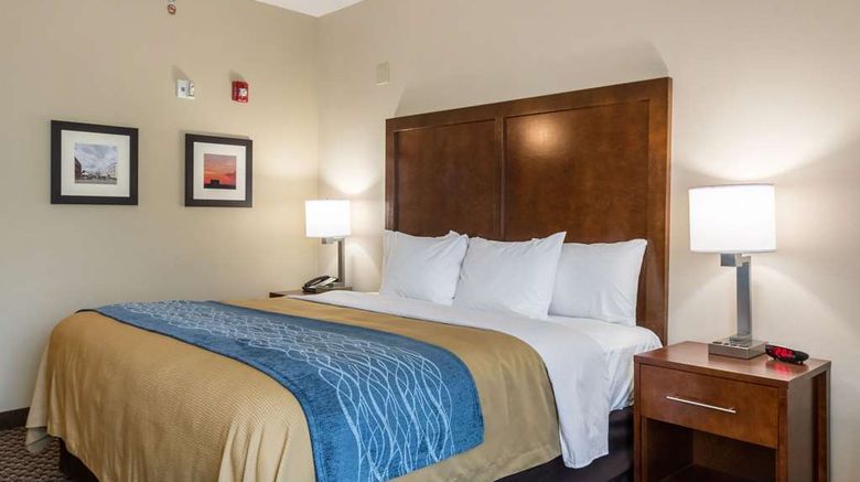 <b>Comfort Inn Edwardsville Room</b>. Images powered by <a href="https://iceportal.shijigroup.com/" title="IcePortal" target="_blank">IcePortal</a>.