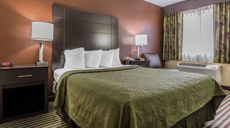 Quality Inn Room