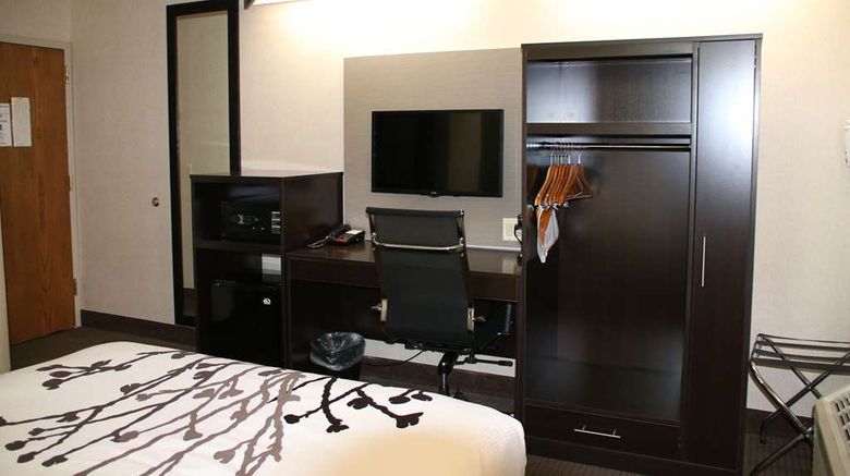 <b>Sleep Inn Room</b>. Images powered by <a href="https://iceportal.shijigroup.com/" title="IcePortal" target="_blank">IcePortal</a>.