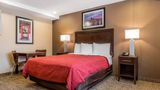 Rodeway Inn Chicago-Evanston Room