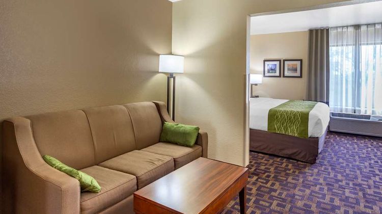 Comfort Inn & Suites Chicago/Aurora Suite
