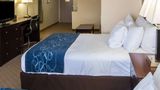 Comfort Suites Room