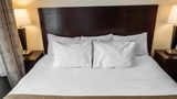 Comfort Suites Suite