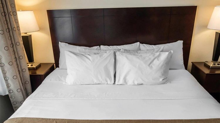 Comfort Suites Suite