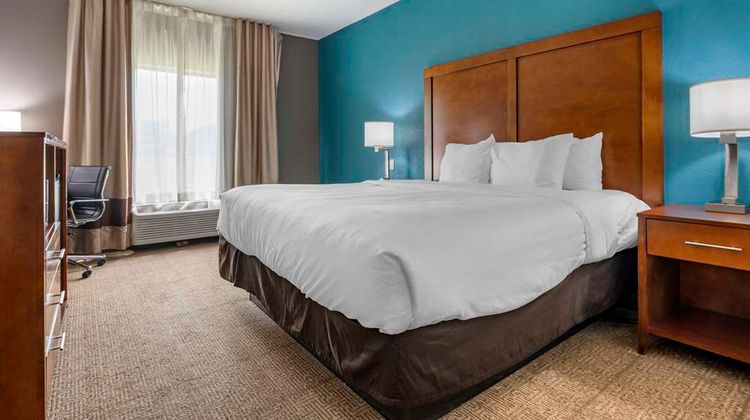 Comfort Inn Room
