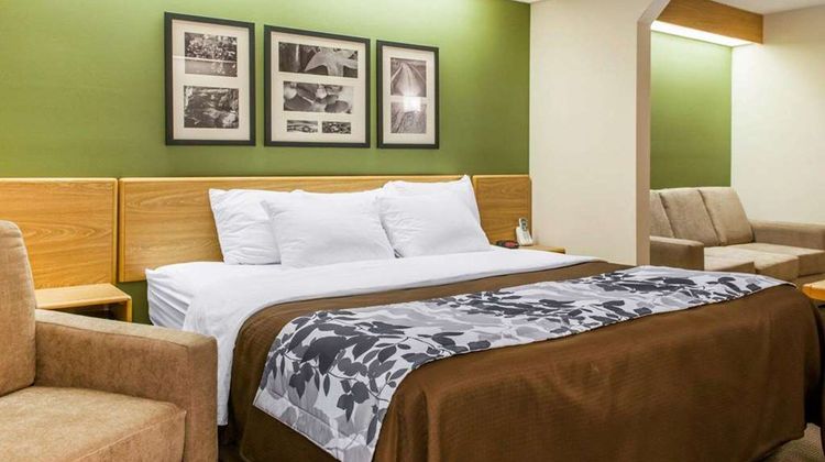 Sleep Inn Elkhart North Suite