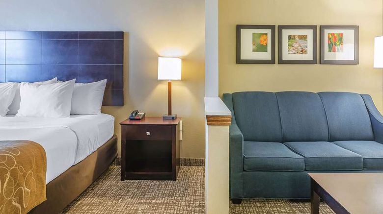 <b>Comfort Suites Fort Wayne Room</b>. Images powered by <a href="https://iceportal.shijigroup.com/" title="IcePortal" target="_blank">IcePortal</a>.