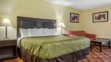 Quality Inn Room
