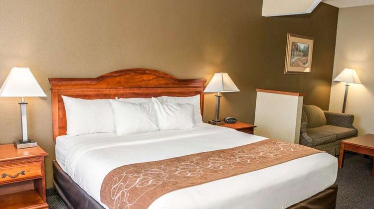 Comfort Suites Room