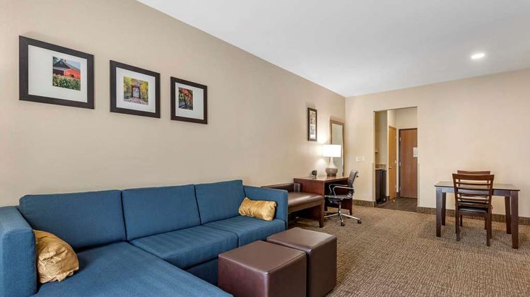 Comfort Suites Suite