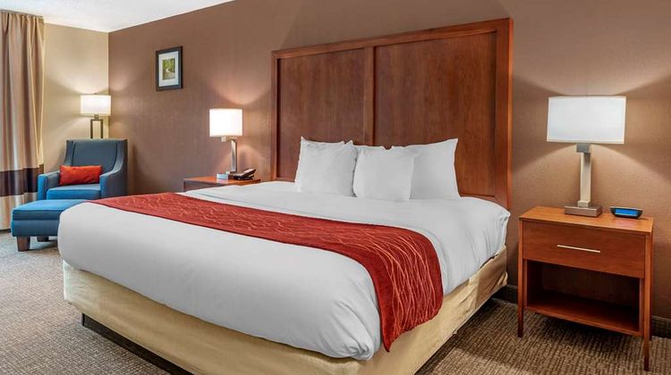 Comfort Inn & Suites Room