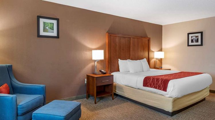 Comfort Inn & Suites Room