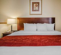 Quality Suites Jeffersonville Room