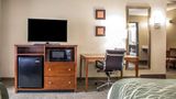 Comfort Inn of Hammond Room