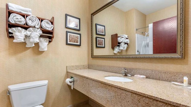 <b>Comfort Suites Elkhart South Room</b>. Images powered by <a href="https://iceportal.shijigroup.com/" title="IcePortal" target="_blank">IcePortal</a>.