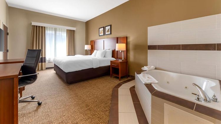 Comfort Inn & Suites Porter Room
